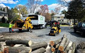 Best Grass Overseeding  in Elma Center, NY