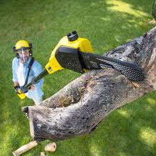 Best Weed Control  in Elma Center, NY